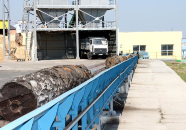 Mozyr Timber Mill - is a new FEZ resident